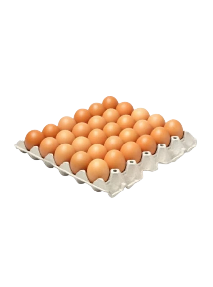 Plateau de 30 œufs