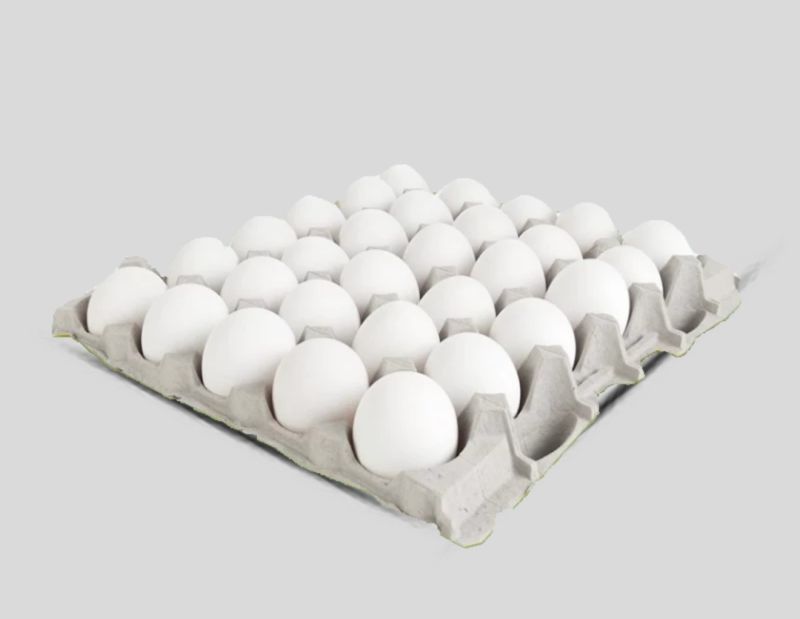 Oeuf